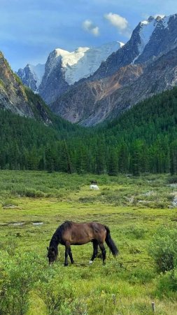 Поход на шавлинские озера скачать фон 720 x 1280
