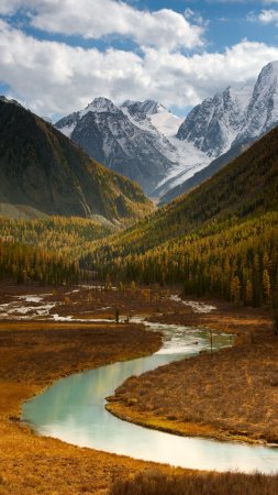 Горный алтай золотые горы алтая скачать фон 1424 x 2532