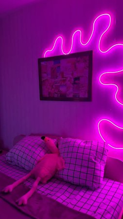 Неоновые лампы в интерьере