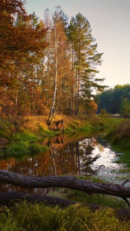 Осенний пейзаж с рекой