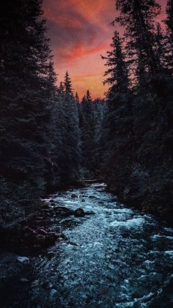 Лес с рекой