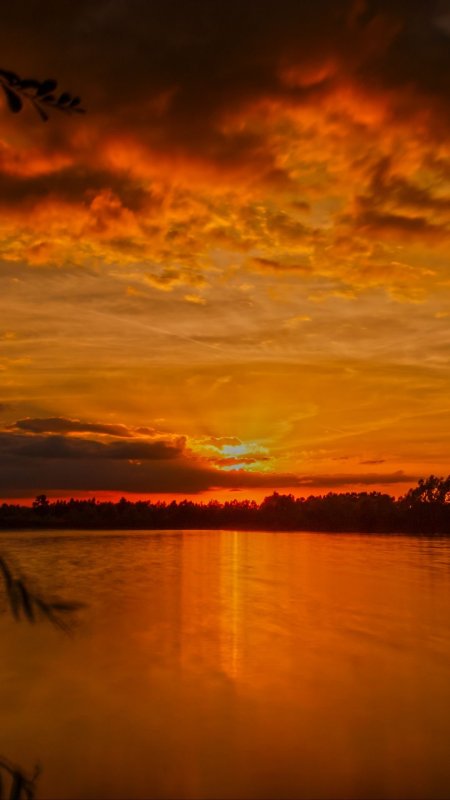 Природа закат