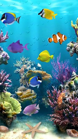 Море подводный мир скачать фон 2160 x 3840