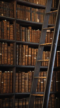 Обои на рабочий стол библиотека книги лестница стеллажи скачать фон 2160 x 3840