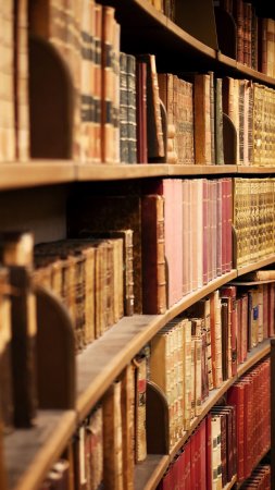 Library books скачать фон 1424 x 2532