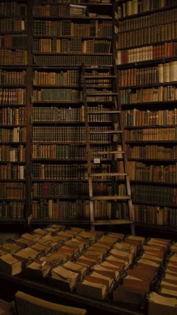 An old library filled with lots of books скачать фон 720 x 1280