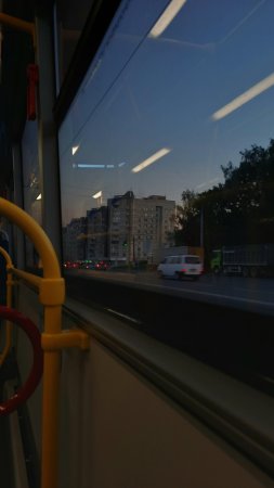Вид из окна автобуса