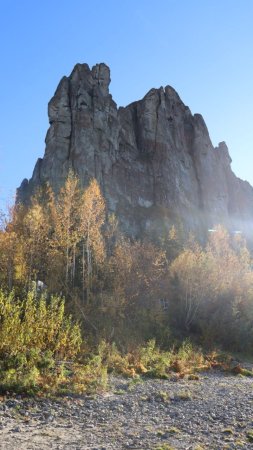 Природный парк ленские столбы скачать фон 720 x 1280