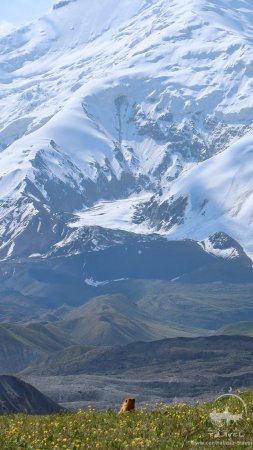 Небесные горы памира кыргызстан