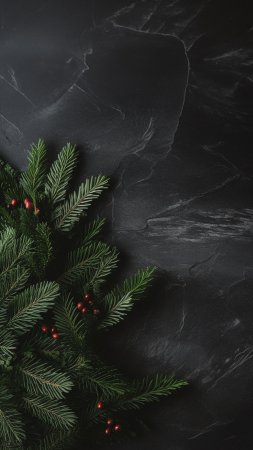 Новогодний темный фон скачать фон 2160 x 3840