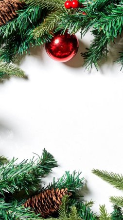 Новогодняя веточка скачать фон 720 x 1280
