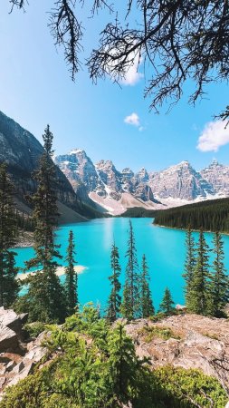 Moraine lake in banff national park скачать фон 1424 x 2532