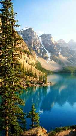 Moraine lake summer mountains forest banff national park canada alberta скачать фон 2160 x 3840