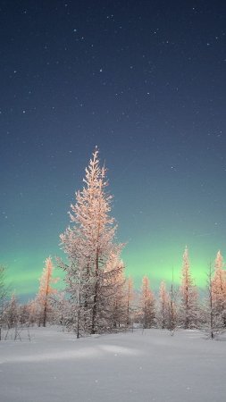 Северное сияние новый уренгой скачать фон 1080 x 1920