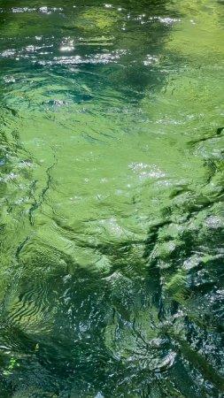Green water скачать фон 1080 x 1920