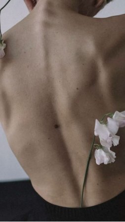 Эстетика тела