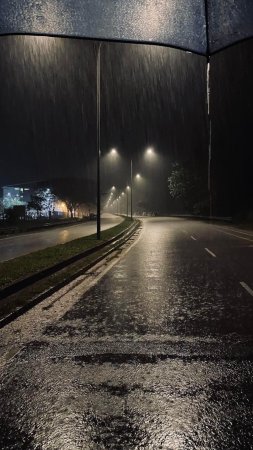 The rain at night скачать фон 1424 x 2532