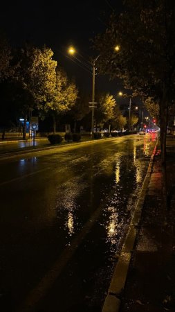 Night rainy скачать фон 1080 x 1920