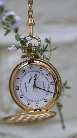 Gold pocket watch скачать фон 1424 x 2532