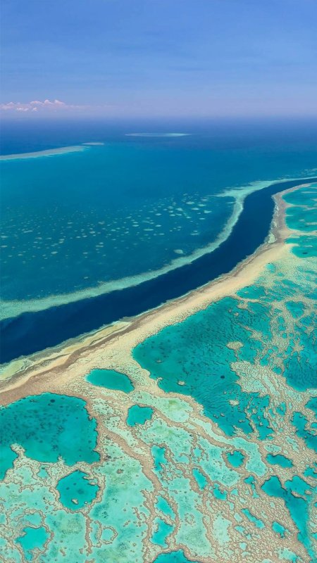 Great barrier reef скачать фон 1080 x 1920