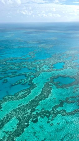 Great barrier reef australia скачать фон 1080 x 1920