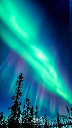 Aurora borealis северное сияние