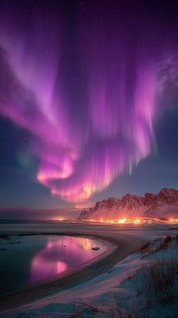 Borealis aurora