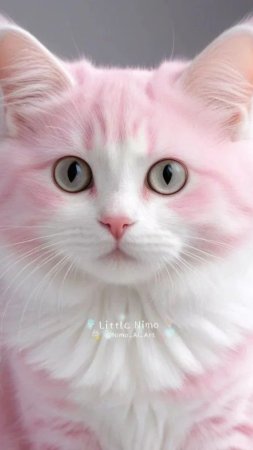 Кошка розовая