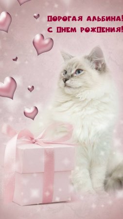 Котики на розовом фоне