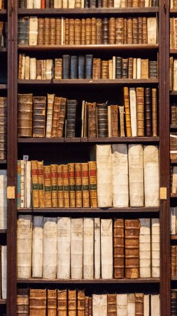 Старая книжная полка