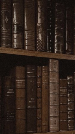 Книжная эстетика