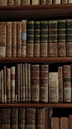 Архивные полки с книгами