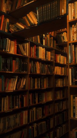 Library aesthetic