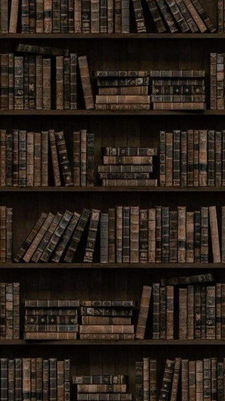 Книжная полка с книгами