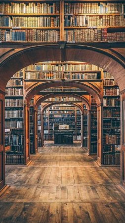 Самые красивые библиотеки мира