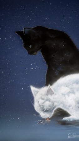 Рафаэль вавассер звездные коты скачать фон 2160 x 3840