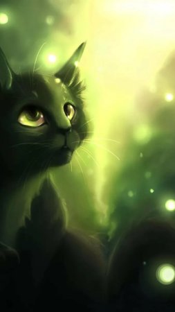Коты воители беззвездная ночь скачать фон 720 x 1280