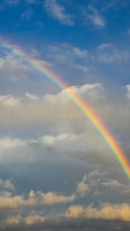 Радуга 🌈