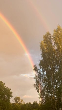 Радуга лета
