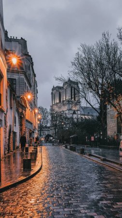 Paris notre dame скачать фон 1080 x 1920