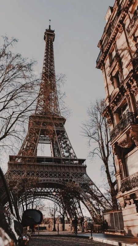Eiffel tower in paris скачать фон 1080 x 1920