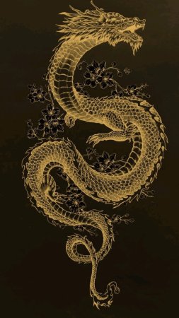 Японский дракон рисунок скачать фон 1080 x 1920