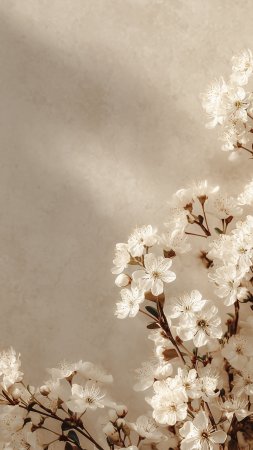 Белые цветения на светло бежевом фоне