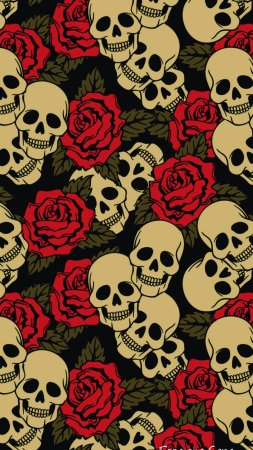 Skulls and roses wallpaper скачать фон 1424 x 2532