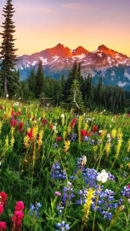 Beautiful nature scenery скачать фон 1080 x 1920