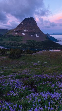 Glacier national park скачать фон 1424 x 2532