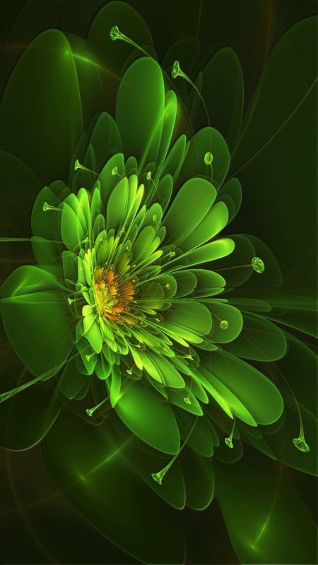 Цветок абстракция скачать фон 1080 x 1920