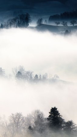 Туманные пейзажи скачать фон 1424 x 2532