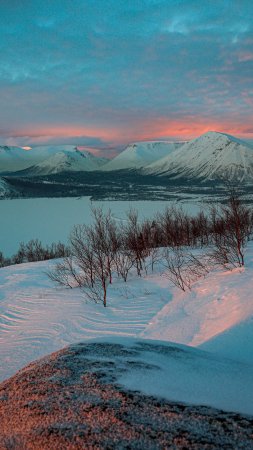 Апатиты кировск