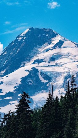 Mount baker washington